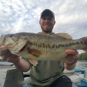 Meet your Posher, Nick